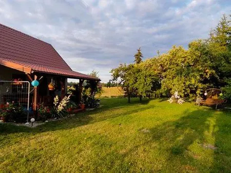 Wsrod Kwiatow I Jabloni - W Marcinowej Woli Marcinowa Wola